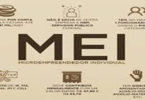 Eu vou Fazer a Declaração Anual do seu MEI