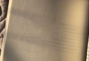Eu vou Digitar textos diversos como: artigo