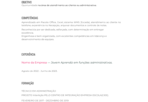 Eu vou criar para você um currículo mais atrativo.