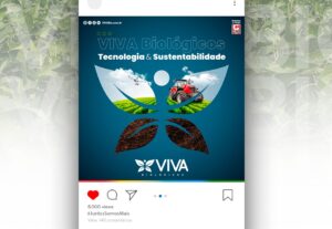 Eu vou  fazer postagem para redes sociais e artes impactante...