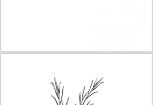 Eu vou Fazer logos e artes de aniversário/casamento/ Negócio