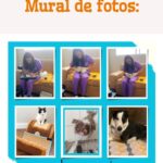 Eu vou criar um site / página para você.