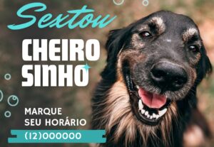 Eu vou fazer Artes Gráficas Criação de vídeos infantis