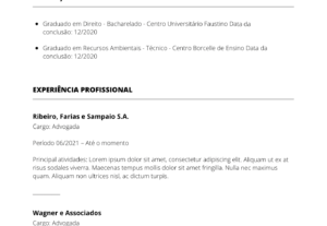 Eu vou criar seu currículo de forma profissional e eficaz.