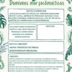 Eu vou fazer os seus planos pedagógicos.