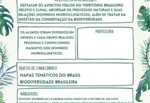 Eu vou fazer os seus planos pedagógicos.