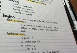Eu vou traduzir textos em inglês