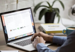 Eu vou digitar seu texto sem erros de português