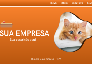 Eu vou programar sua landing page