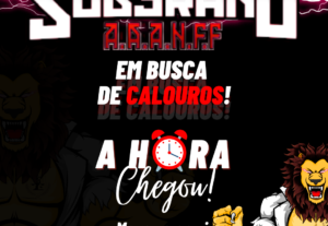 Eu vou fazer artes para divulgação da sua marca.