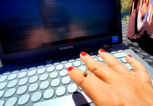 Eu vou Criar e revisar textos jornalísticos e universitários