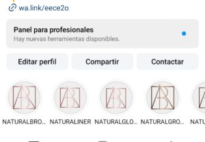 Eu vou organizar sua bio do Instagram