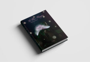 Eu vou fazer a capa do seu e-book