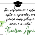 Eu vou transformar o design da sua empresa