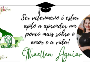 Eu vou transformar o design da sua empresa