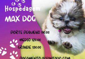 Eu vou fazer texto e vídeos sobre assuntos pets