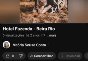 Eu vou fazer sua edição de vídeo com excelência e dedicação.