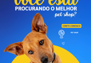 Eu vou fazer arte profissional para sua empresa