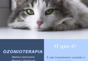 Eu vou fazer uma excelente edição de textos, ou gravar áudio...