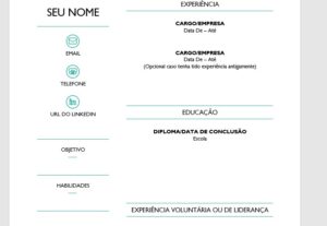 Eu vou fazer um currículo ótimo para você