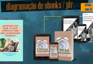 Eu vou diagramar o seu ebook/plr