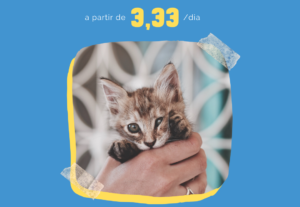 Eu vou fazer um post estático para sua rede social