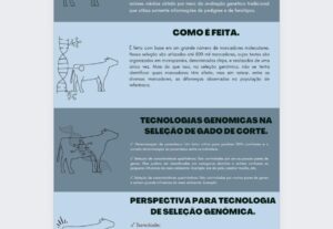 Eu vou fazer o melhor design para seu produto