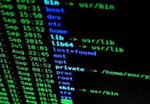 Eu vou testar a segurança do seu site/blog
