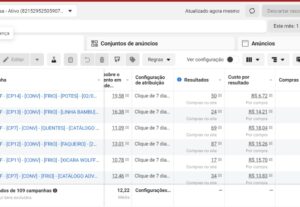 Eu vou fazer o trafego pago para a sua empresa