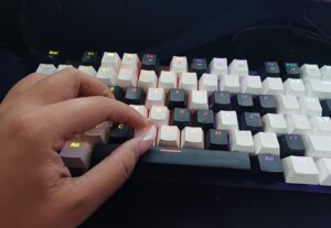 Eu vou digitar seu texto.