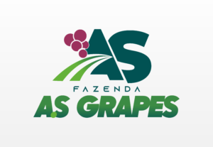 Eu vou Criar sua logomarca e sua identidade visual