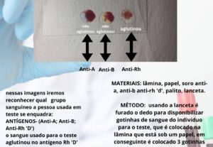 Eu vou fazer a sua logo