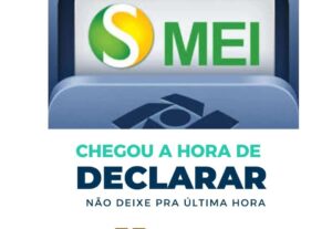Eu vou Fazer Declarações do Mei