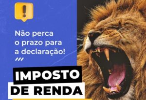 Eu vou Fazer declarações de imposto de renda