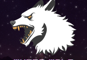 Eu vou criar logos para o seu discord