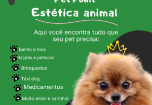 Eu vou Fazer artes para seus storys