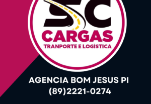 Eu vou fazer sua logo profissional com imagens e videos