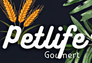 Eu vou fazer o melhor Banner e Cartaz para Você.