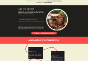 Eu vou criar o site da sua empresa