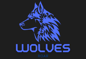 Eu vou fazer suas logos em 2 horas com uma alta qualidade.