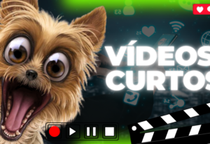 Eu vou criar seu Reels Viral