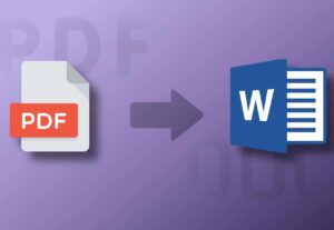 Eu vou converter seu pdf de texto em word
