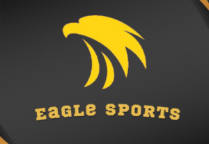 Eu vou Fazer a logo da sua empresa ou marca