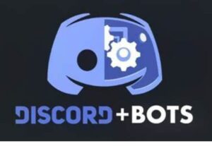 Eu vou criar e hospedar um bot de discord para o seu servido...