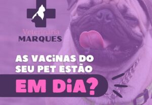 Eu vou fazer artes para sua rede social