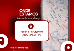 Eu vou Desenvolver artes de identidades visuais