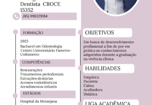 Eu vou fazer seu curriculo moderno e persuasivo