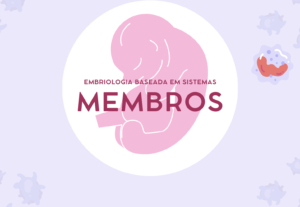 Eu vou te fazer uma apresentação de slides de ate 20 slides.
