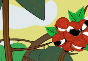 Eu vou  criar uma ilustração 2D personalizada para você