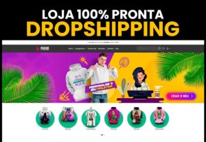 Eu vou criar sua loja perfeita de dropshipping